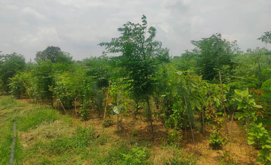 Environment & Sustainability