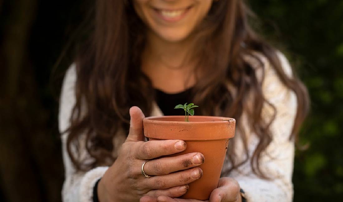 Planting Hope - Miyawaki Forests in India