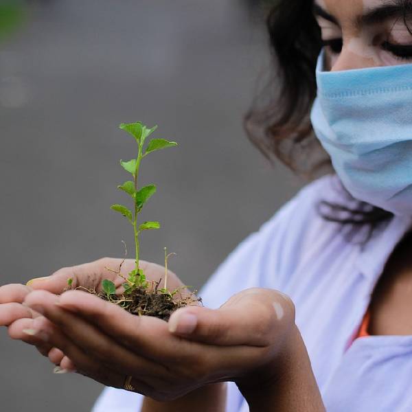 Planting Hope - Miyawaki Forests in India