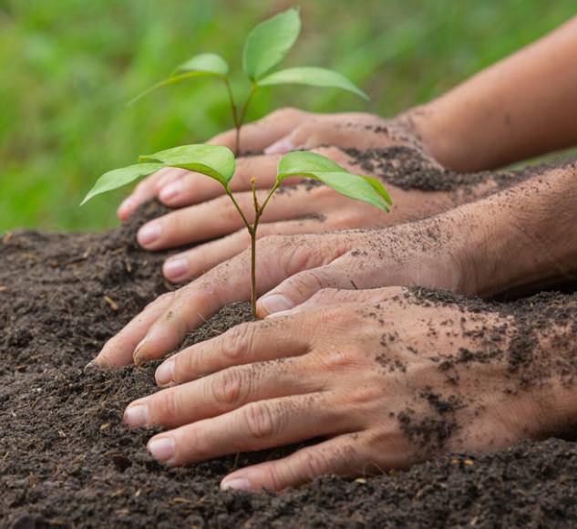 What Our CSR Partners Have to Say About Us