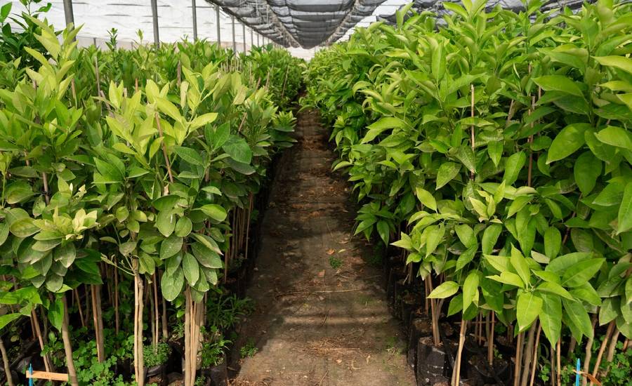 Environment & Sustainability